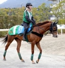 【金鯱賞】堅実派のシェイクユアハートが重賞２勝目を狙う　陣営「２０００メートルの方がいいと思います」