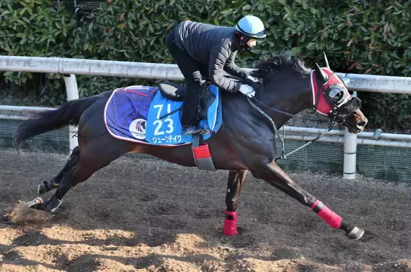 【金鯱賞】ジューンテイクは武豊騎手との新コンビで重賞連勝狙う　武英調教師は３番枠にも「前走で出していますから」