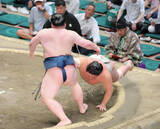 「十両・白熊が３連勝で４勝５敗　「まだまだ安心出来ない」」の画像1