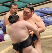 一意、初の十両優勝　来場所は新入幕確実「やっと一人前のお相撲さんになれた感じがする」