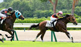 「【新潟１Ｒ・２歳未勝利】夏の新潟オープニングレースは１番人気レゾルーティオが逃げ切りＶ　斎藤新騎手「着差以上に…」」の画像1