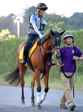 【アイビスＳＤ】昨年レコードタイＶのピューロマジックが連覇＆重賞連勝狙う　安田調教師「ムキにならずに走れれば」
