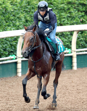 【中京２歳Ｓ】マル・マル・モリ・モリ！マルモリムソウが連勝で重賞初Ｖへ　大橋調教師「メンバー的にもチャンス」