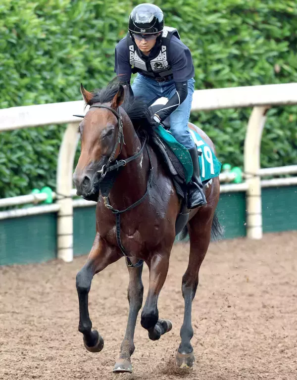 【中京２歳Ｓ】マル・マル・モリ・モリ！マルモリムソウが連勝で重賞初Ｖへ　大橋調教師「メンバー的にもチャンス」