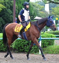 【アイルランドＴ】カネラフィーナは前走の競馬を糧に巻き返す　手塚久調教師「１６００メートルは明らかに短かった」