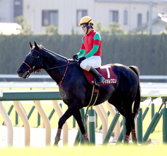 【東京ハイジャンプ】２３年最優秀障害馬のマイネルグロンが意地の２着　五十嵐騎手「１００点満点のレースでした」