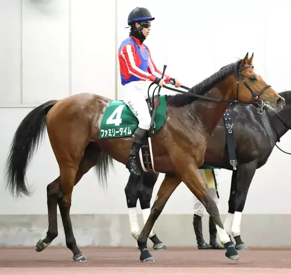 【中日新聞杯】１番人気ファミリータイムは７着　松山弘平騎手「いいレース。しっかり最後まで頑張ってくれました」