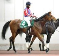 【中日新聞杯】１番人気ファミリータイムは７着　松山弘平騎手「いいレース。しっかり最後まで頑張ってくれました」