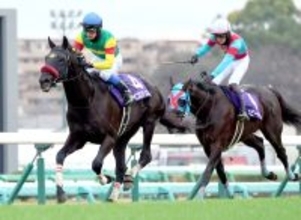 【中山大障害・レースメモ】キタサンブラック産駒が初勝利　重賞は富士Ｓ（ガイアフォース）以来の今年７勝目、通算２４勝目