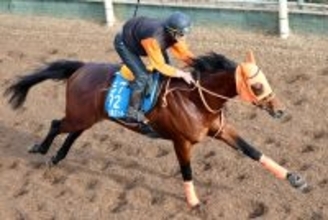 【日経新春杯】京都は十八番！初の２４００メートルでも「舞台はうまくフィットする」高野調教師はオールナットに期待