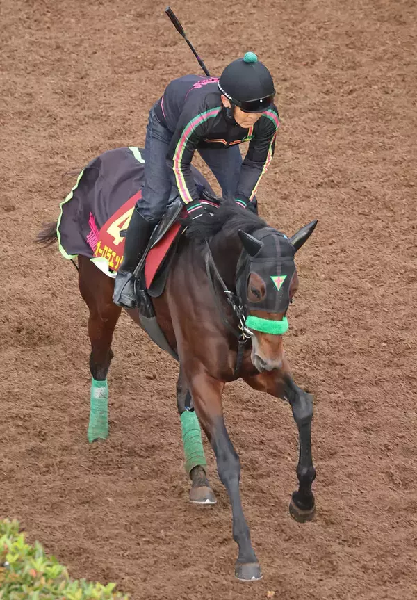 【白富士Ｓ・山下の特注馬】オーロラエックスは広い東京がベスト　牡馬に負けない力がある