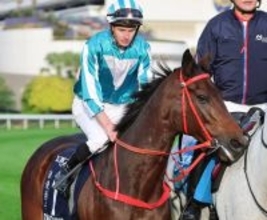 【香港・ゴールドＣ】獲得賞金は５１億円突破！香港最強馬のロマンチックウォリアーが圧勝！　２６年の香港２冠目　