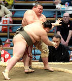 「【大相撲】東海大柔道部出身・岡田、新幕下で白星発進　「もっと似合わないと思っていた」まげ姿も初披露」の画像1