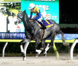 「【東京スプリント】売り上げは１５億円超でレコード更新　ドラゴンウェルズが３連勝で重賞初制覇」の画像1