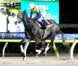 【東京スプリント】売り上げは１５億円超でレコード更新　ドラゴンウェルズが３連勝で重賞初制覇