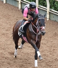 土曜福島競馬場の注目激走馬…福島１１Ｒ安達太良ステークス