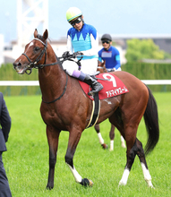 【注目馬動向】アドマイヤズームは富士Ｓからの始動を視野　秋もマイル路線へ