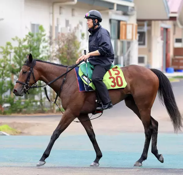 【新潟２歳Ｓ】シャンデヴァーグ２連勝で重賞Ｖへ　津村明秀騎手「落ち着きがあって雰囲気はいい方に来ている」