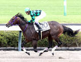 「【中山６Ｒ・２歳新馬】１０馬身差の圧勝に武豊騎手も仰天「抑え気味でも…」　ポッドビートがデビューＶ」の画像1