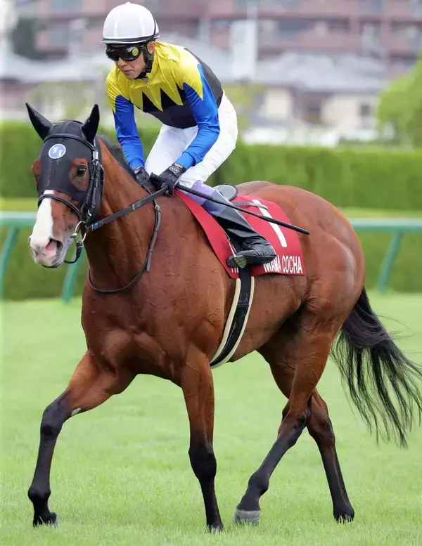【セントウルＳ】「差を詰めている」武豊騎手も満足のママコチャ３着　２年連続２着馬が３戦ぶり芝で存在感