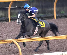 【オールカマー・データ埋蔵金】４歳牝馬が強いＧ２　吉田隼人騎手＆武幸厩舎のクイーンＳ３着馬に期待