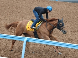 土曜東京競馬場の注目激走馬…東京１１Ｒグリーンチャンネルカップ（Ｌ）