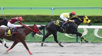 【東京１１Ｒ・グリーンチャンネルＣ】３連勝中のヘニーガイスト、ルヴァレドクールは２、３着で連勝ストップ　横山武史騎手「オープンでもやれるところを見せてくれた」