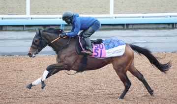 【２４日の注目・東京８Ｒ】新馬戦でのちのダービー２着馬を撃破！　良血馬アートバーゼルが１年ぶりの復帰戦に臨む