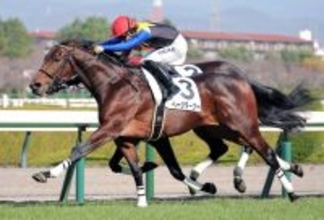 【阪神５Ｒ・２歳新馬】セレクト２・６億円馬ページターナーがデビューＶ　川田将雅騎手「徐々に良くなってくれれば」