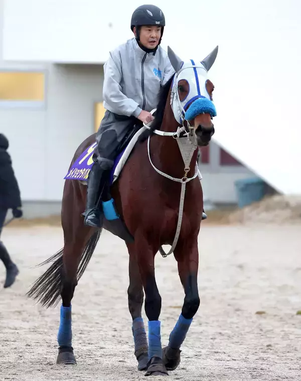 【有馬記念・吉田が見た】「日高の馬」過去にはオグリキャップ、トウカイテイオーがＶ　今年はメイショウタバルに期待