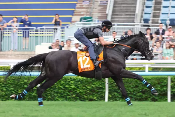 【香港・チャンピオンズＭ】シュトラウス絶好調　武井調教師「『最高の状態』と言っていた」モレイラ騎手を背に追い切り