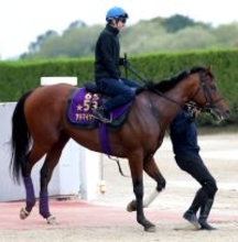 【注目馬動向】読売マイラーズＣを勝ったアドマイヤズームは武豊騎手で安田記念へ　５着オフトレイルも菅原明良騎手で