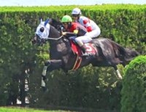 【京都ハイジャンプ】シホノスペランツァが重賞初制覇　「手応えが違った」高田潤騎手は連覇で最多タイ５勝