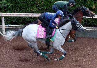 【北九州記念】新コンビの川田将雅騎手で併入のデアヴェローチェはＧ１参戦への試金石　上村調教師「勝ち負けすれば…」