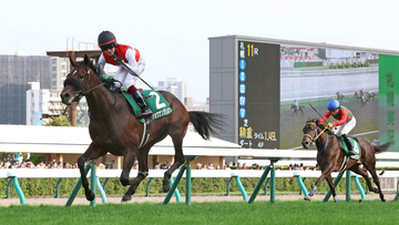 【札幌２歳Ｓ・レースメモ】優勝馬ショウナンガレオンの父フライトライン、産駒初出走で初勝利