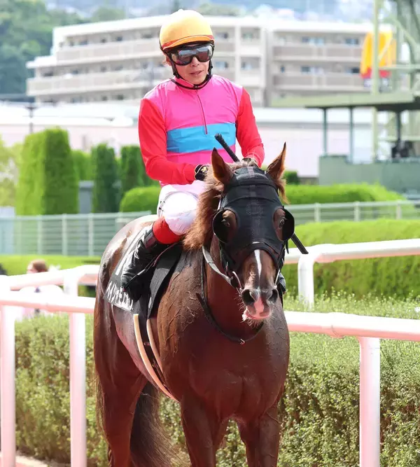 【カノープスＳ・松ケ下の特注馬】先週の京都ダート１８００メートルは前残り顕著　昇級３戦目のペイシャモノノフが面白そう