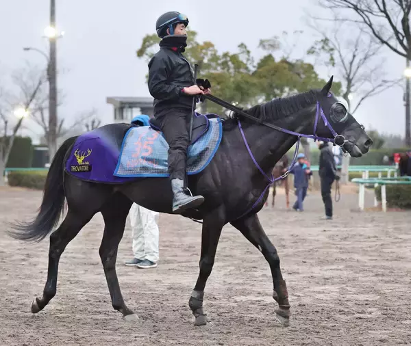 【京都金杯】実績のある芝のマイルで“二刀流”の活躍を目指すトロヴァトーレ　鞍上はハマーハンセン騎手