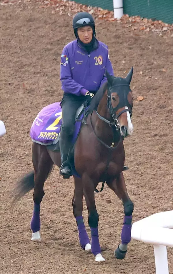 【注目馬動向】アドマイヤクワッズは報知杯弥生賞を予定　スティンガーグラスはダイヤモンドＳを視野