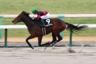 強烈な末脚に「ゾクッとした」「なんだあれ」　２勝クラス圧勝の４歳馬グランドプラージュにネット仰天