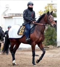 【注目馬動向】すみれＳを制したラージアンサンブルは皐月賞へ