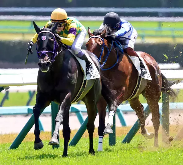 【中山５Ｒ】武豊騎手がマーゴットブローを完璧エスコート　伊坂調教師「お手本のような競馬。さすが豊さん」