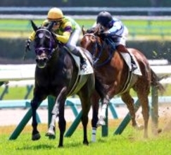 【中山５Ｒ】武豊騎手がマーゴットブローを完璧エスコート　伊坂調教師「お手本のような競馬。さすが豊さん」