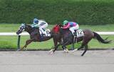 「新たな冒険は大成功！「ハイラル城…」「トライフォースの力」牝馬ゼルダが逃げ切りＶでＳＮＳ大盛り上がり　阪神４Ｒ」の画像1
