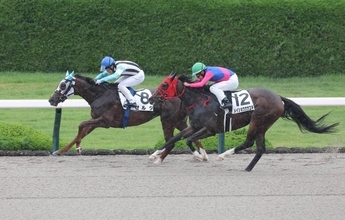 新たな冒険は大成功！「ハイラル城…」「トライフォースの力」牝馬ゼルダが逃げ切りＶでＳＮＳ大盛り上がり　阪神４Ｒ