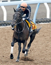 【しらさぎＳ】除外対象のテリオスララは２走前に逃走Ｖの武豊騎手が…　府中牝馬との両にらみで巻き返しへ