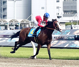 【川崎競馬】インディゴールドが８馬身差でデビュー戦圧勝　野畑凌騎手「楽しみです」父はインディチャンプ