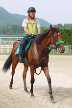 【ＰＯＧ】藤田晋オーナーの２・９億円馬ジャンゴッドはポテンシャル十分　半兄は皐月賞馬ジャスティンミラノ