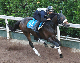 【東海Ｓ】ドンインザムードが前走７馬身差圧勝の再現を　今野調教師「左回りはいいし、中京は問題ない」