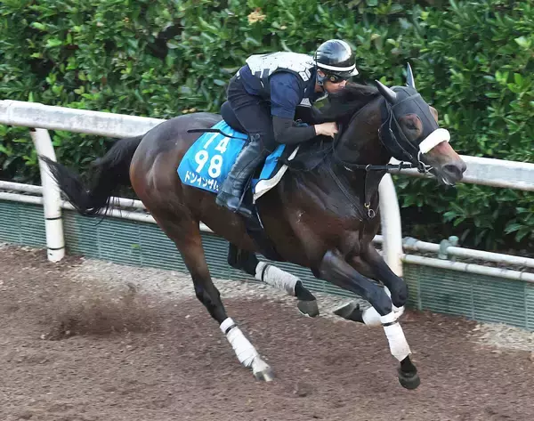 【東海Ｓ】ドンインザムードが前走７馬身差圧勝の再現を　今野調教師「左回りはいいし、中京は問題ない」
