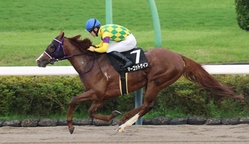 【注目馬動向】マーゴットゲインは霜月Ｓへ　メリークリスマスはシトリンＳに向かう